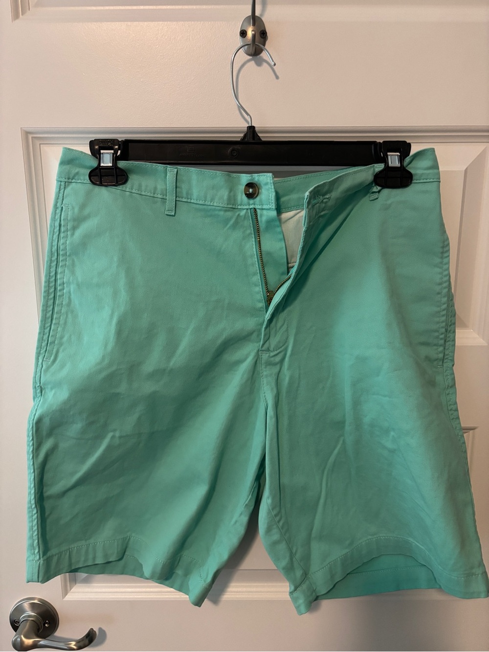 Men's Mint Green Cotton Shorts